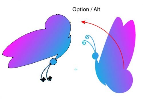 آموزش جابجایی و تکثیر اشکال در ایلوستریتور